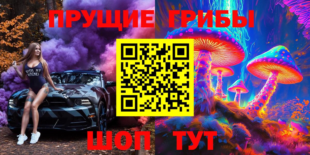 закладка  Вход с VPN  Альметьевск  Псилоцибиновые грибы мухоморы 